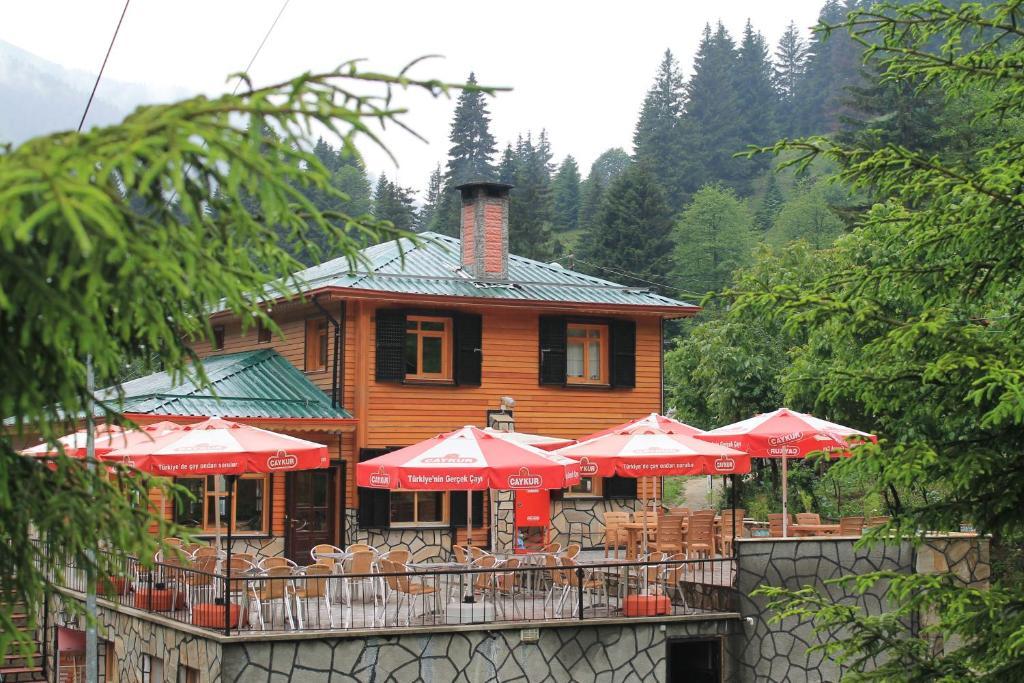 Ayder Avusor Hotel Extérieur photo
