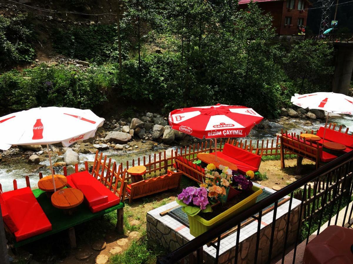 Ayder Avusor Hotel Extérieur photo